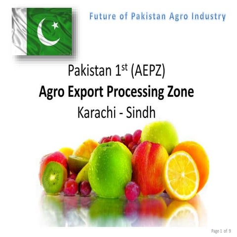 Pakistan Export Processing Zones | PDF