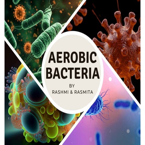 Aerobic_Bacteria_15min_Presentation.pptx.pdf