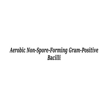 Aerobic Non-Spore-Forming Gram-Positive Bacilli