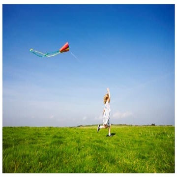 "Biomimicry in aerodynamics: the insights from insects wing design"