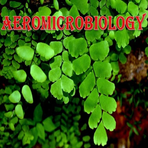 Aeromicroby seminar 2007