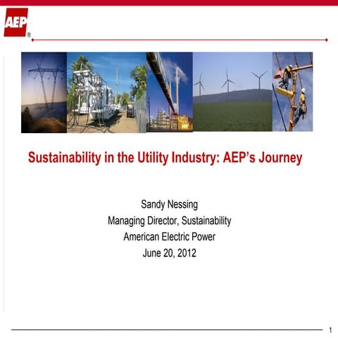 Sustainability Within the Utility Industry