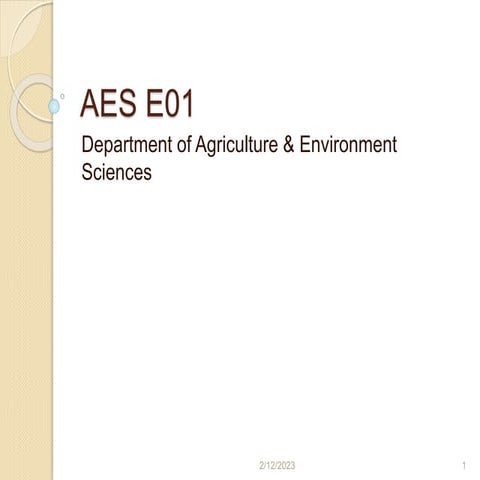 AES E01 MAturity Indices.pptx