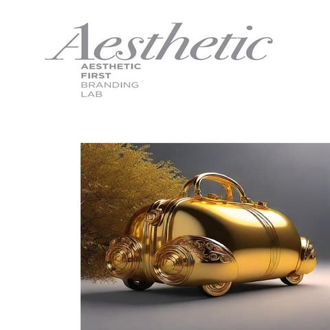 Aesthetic First Branding Lab, Dharam Mentor