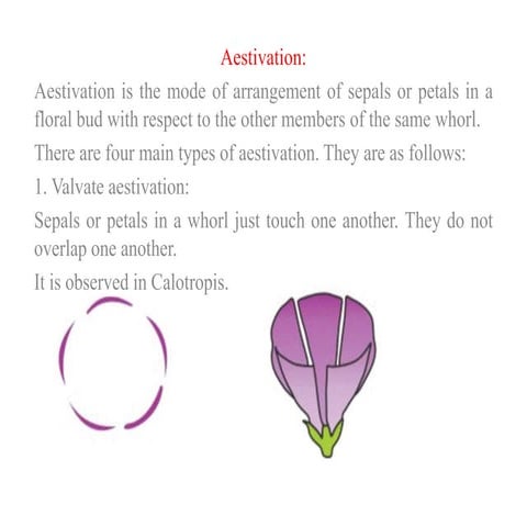 aestivation.pptx explanation of aestivation