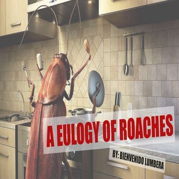 A Eulogy of Roaches