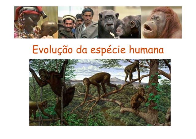 A evolução da espécie humana. | PDF