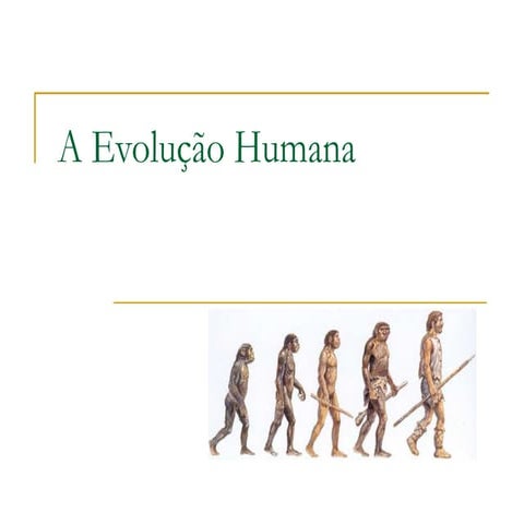 A EvoluçãO Humana