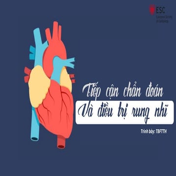 Tiếp Cận Chẩn Đoán Và Điều Trị Rung Nhĩ 2021