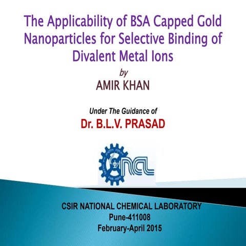 amir power point21-5