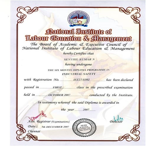 Industrial safety-Diploma