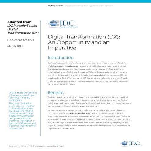 IDC_254721_ExecBrief_Digital_Transformation