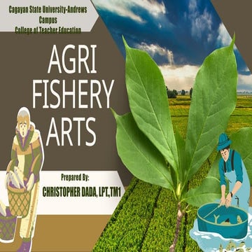 AFA111111111111111111111111111111-CSU.pptx