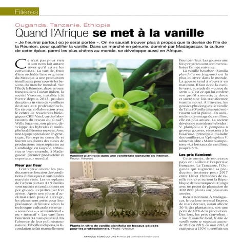 Quand l'Afrique se met à la vanille
