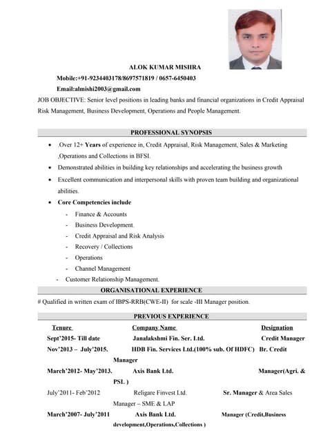 ALOK CV