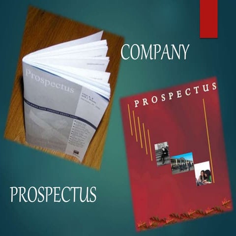 prospectus of a company