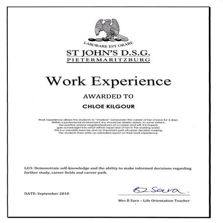 Work Experience Certificate | PDF