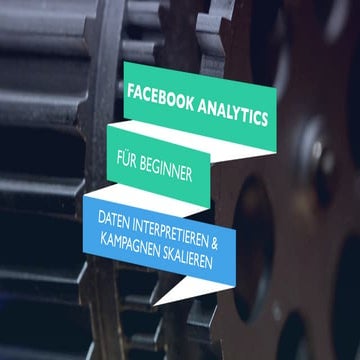 Facebook Analytics für Beginner: Daten interpretieren & Kampagnen skalieren