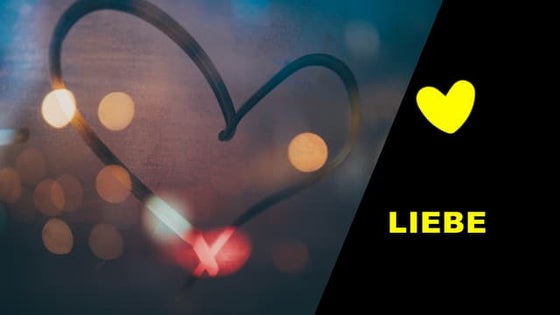 Love Social - Social love. Eine Liebeserklärung an Social Media, die Diversit...