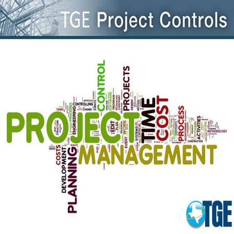 TGE Project Controls