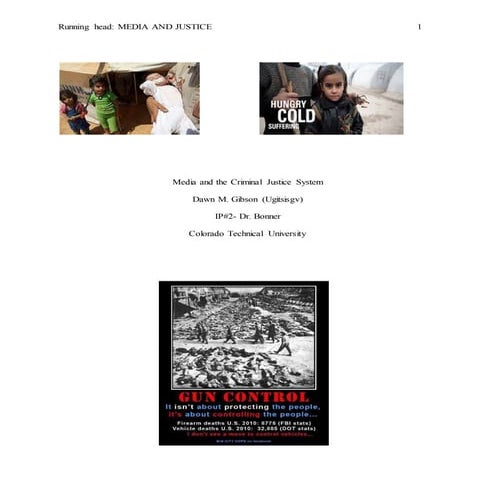 Media and the Criminal Justice SystemIP2 GibsonDfinal