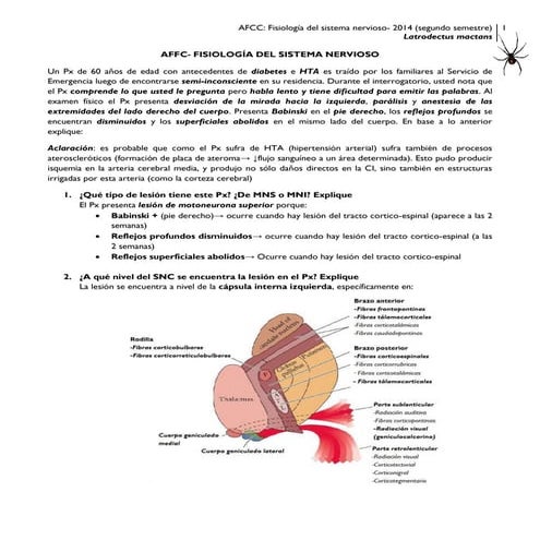 AFCC fisiología del sistema nervioso | PDF
