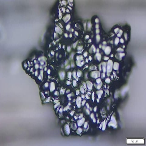 Analytical Ferrography | PDF