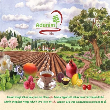 Adanim Tea Presentation-pictures | PDF