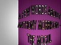 A few words about anthony morrison – the Mogul