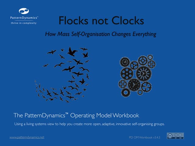 PatternDynamics Operating System Wo...