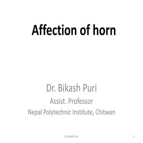 Affection of horn