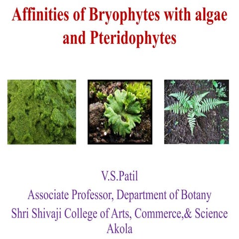 Affinities of bryophytes with algae and pteridophytes