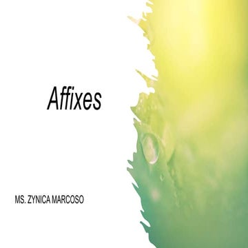 Affixes