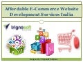 Affordable E-Commerce Website Development Services India 