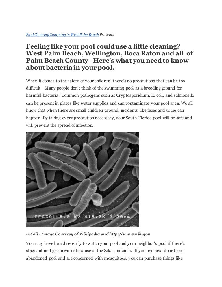 Bacteria In Pools What you need to know.