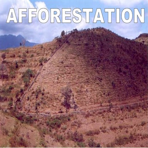 Afforestation in India