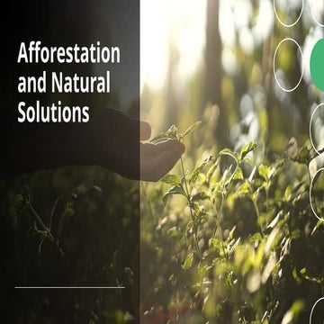 Afforestation and Natural Solutions.pptx