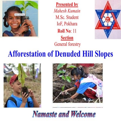Afforestation of denuded hill slopes  mahesh kumain