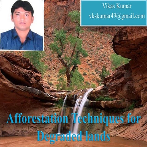 Afforestation techniques for degraded lands