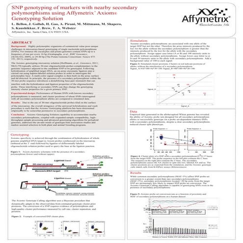 SNP genotyping of markers with nearby secondary polymorphisms using Affymetri...