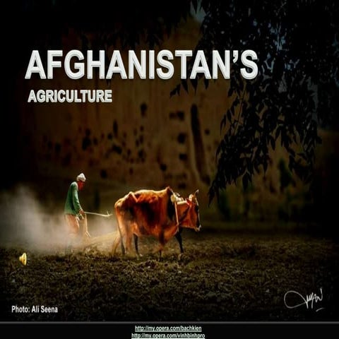 AFGHANISTAN -  Agriculture