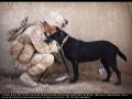 Afghanistan: Dogs of War