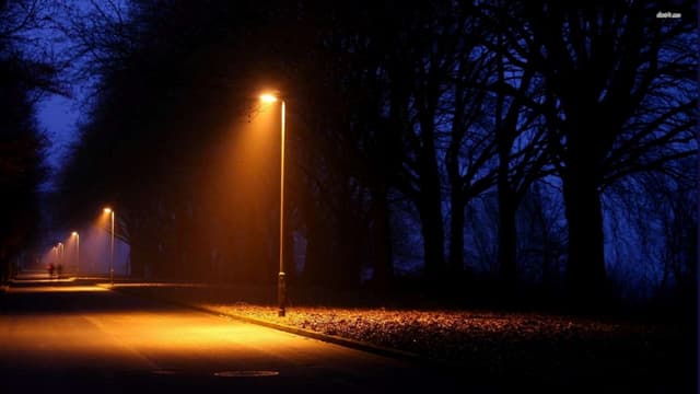 Sabrina Haskell Culyba - A Field Gu...