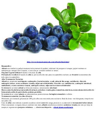 Afinul planta medicinala