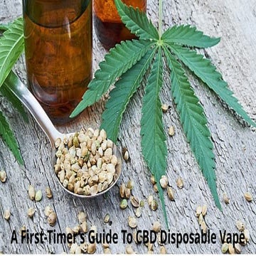 A First-Timer’s Guide To CBD Disposable Vape