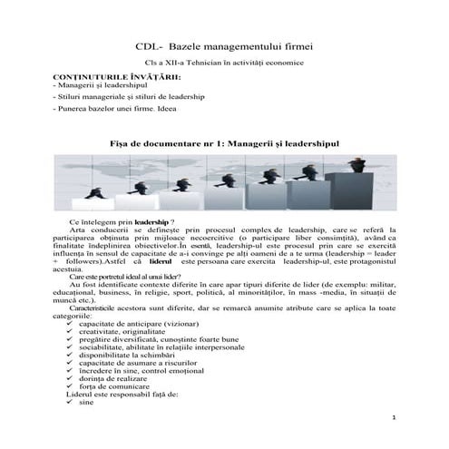 Manageri si lidership. Punerea bazelor unei firme