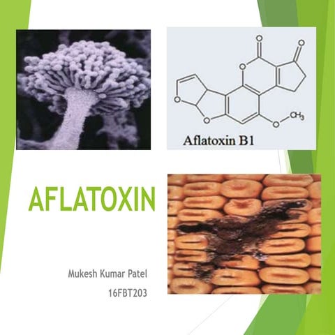 Aflatoxin 