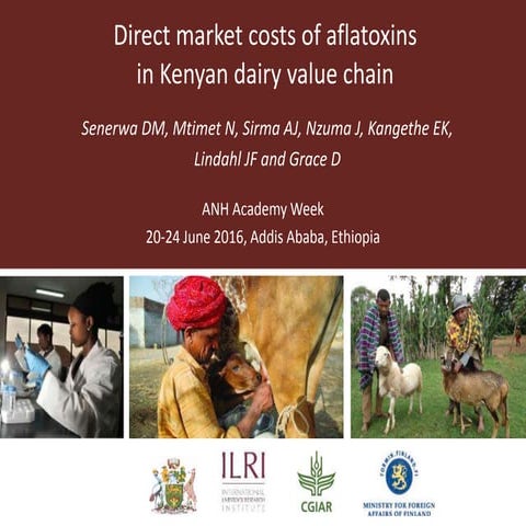 Direct market costs of aflatoxins in Kenyan dairy value chain