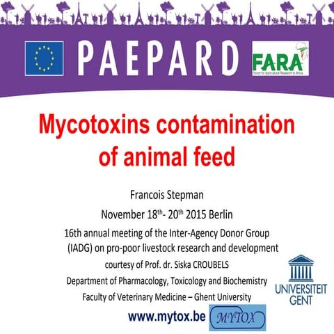Mycotoxins contamination of animal feed