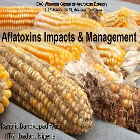 Aflatoxin impacts and management 